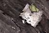 Germanwings debris