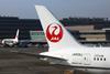 JAL 787 tail