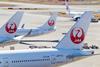 JAL aircraft -c- KITTIKUN YOKSAP Shutterstock