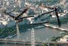 Osprey over London Eye
