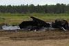 Raptor crash Tyndall - US Air Force