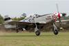P51 Mustang Marinell