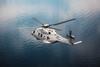 NH90 Sea Lion (1)