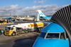 Sustainable aviation fuel