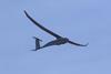 Vanilla UAV c Platform Aerospace
