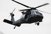 Black Hawck-c-SoosJozsef_Shutterstock