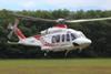 Heliconia AW139