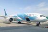China Southern 787 auction-c-SUAEE