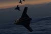 X-Bat formation in flight