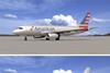 AA livery vote