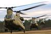 CH-47F with Georgia Army National Guard c Georgia Army National Guard