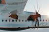 ATR EVO-c-ATR