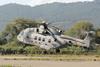 AW101 amphibious support