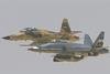 Iranian F-5s W445