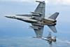 Hornets - Finnish air force