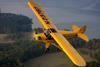 LSA Cub