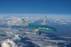 3. Vietnam Airlines 737-8 PHOTO