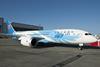 China Southern 787