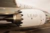 Leap 1-B engine on 737 Max 8