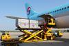 Korean Air A330 being loaded with air cargo