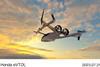Honda eVTOL