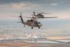 Israel UH-60s