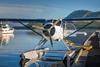 DHC-2 Beaver Harbour Air