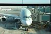 QR A380 on gate