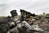 MH17 crash site Xinhua/Rex TN