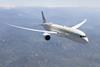 B787 In The Sky small