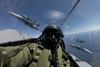 Gripen pilot