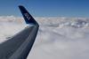 ANA wing-c-ANA Luke H Ozawa