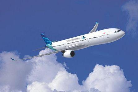 Garuda Indonesia A330-300 ガルーダ 三菱自動車 ph Garuda Indonesia A330-300 ガルーダ 三菱自動車 ph - メルカリ