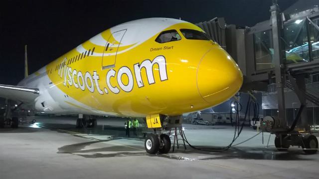 PPC Holland｜FLY Scootスクート航空｜B787-9｜1:250 PPC Holland｜FLY Scootスクート航空｜B787-9｜1:250 - メルカリ