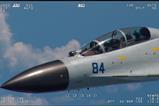 China PLA Chinese air force fighter intercept c US DoD