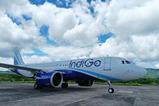 Indigo A320neo