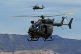 UH-72A Lakota with UH-60 Black Hawk