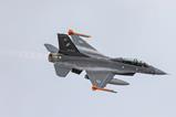 Argentina F-16 c Argentian MOD