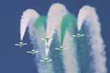 Saudi Hawks