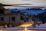 Merlins-c-Crown Copyright