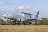 RAF Wedgetail painted