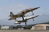 Taiwan F-5s