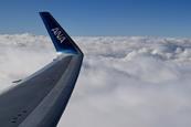 ANA wing-c-ANA Luke H Ozawa