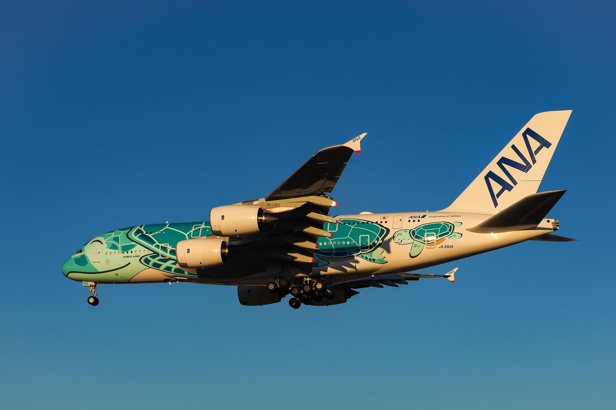 ANA to return A380 'Flying Honu' to Hawaii route | News | Flight 
