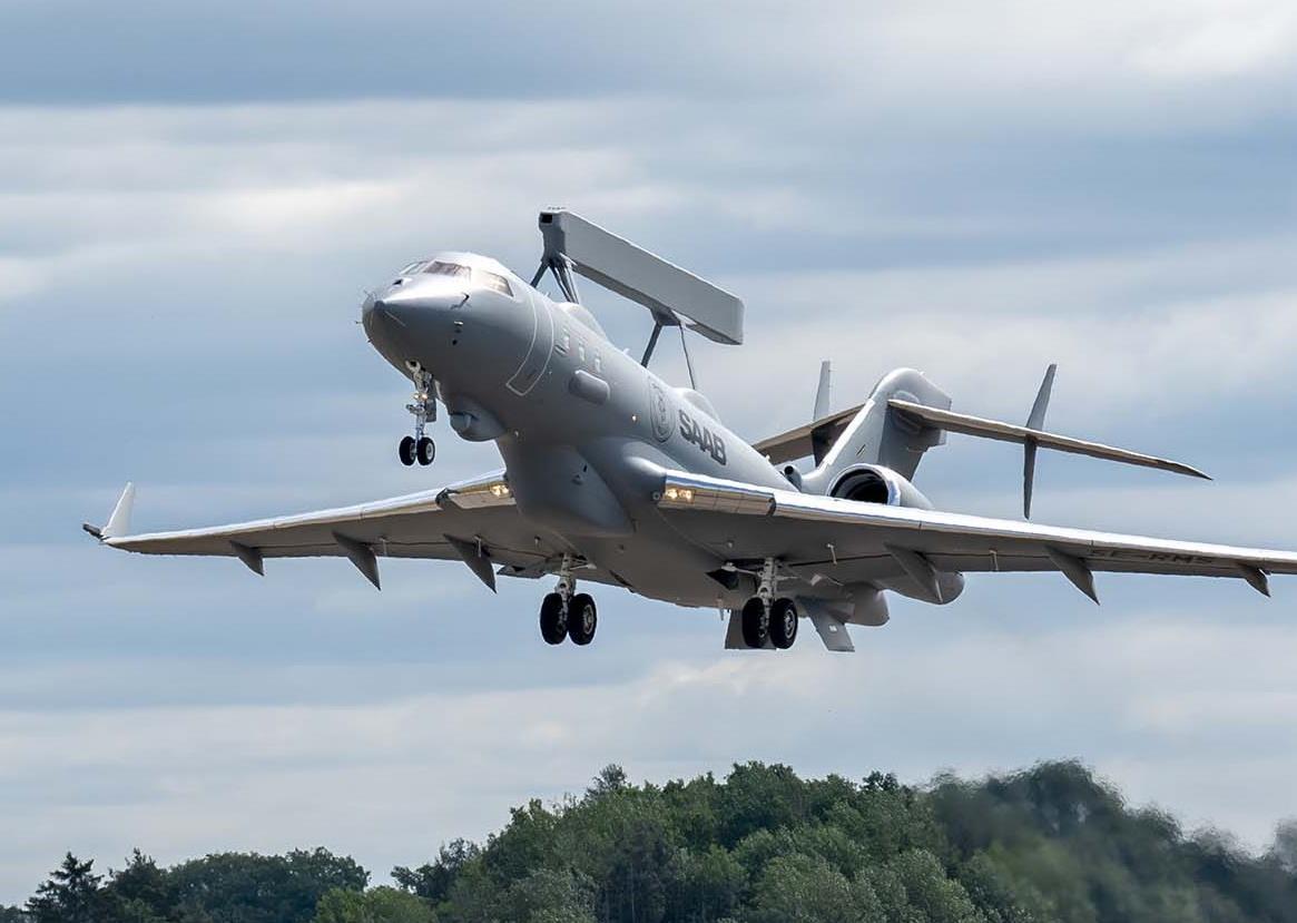 EMP サンセベリア ルーキー （ロッキー） SA26 Sansevieria 'Rookie