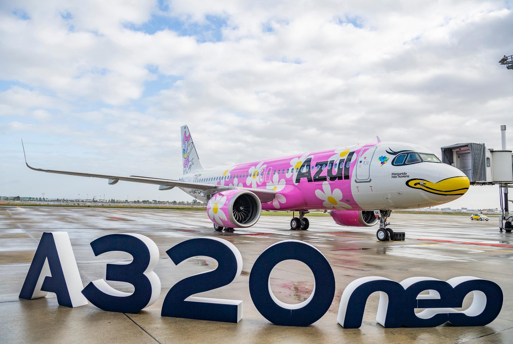 Anime Character-Themed Airplanes : Solaseed Air