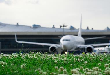 Flight International Comment