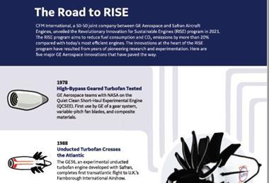 RISE infographic image