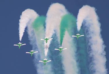 Saudi Hawks