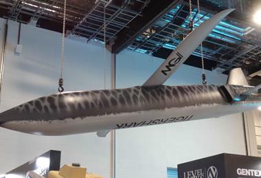 TigerShark DSEI